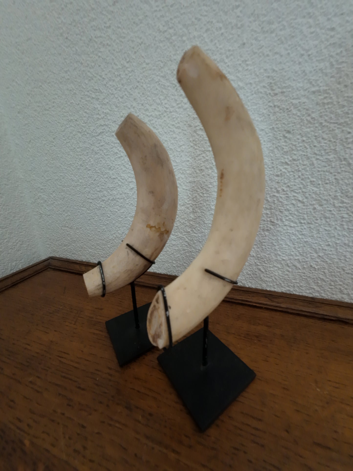 Horn on tripod